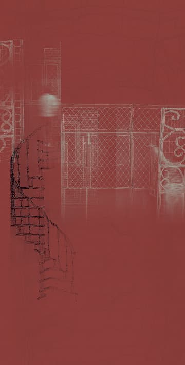 India in Venice banner artwork